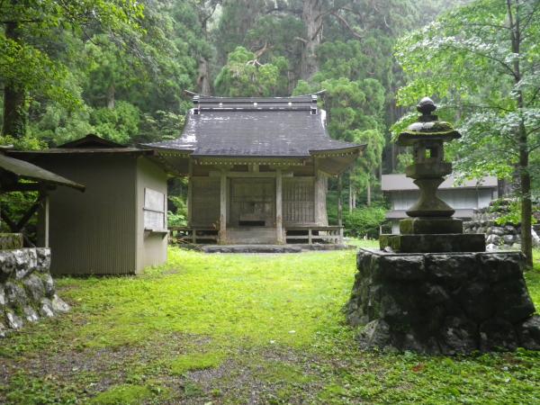池葉守護神社１５６２年頃立てられた神社で社の大杉は周囲7.6ｍもあるそうです。